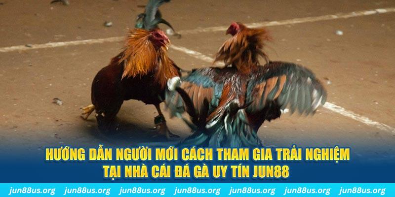 33wib loi game dot kich ket noi may chu that bai