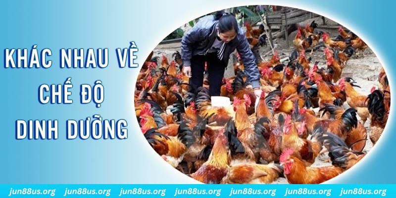 33wib xổ số miền nam thứ năm hàng tuần