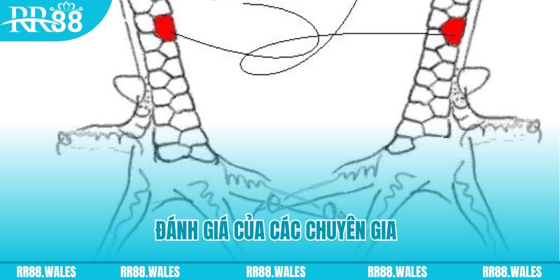 33wib V8 Game Bài 3d