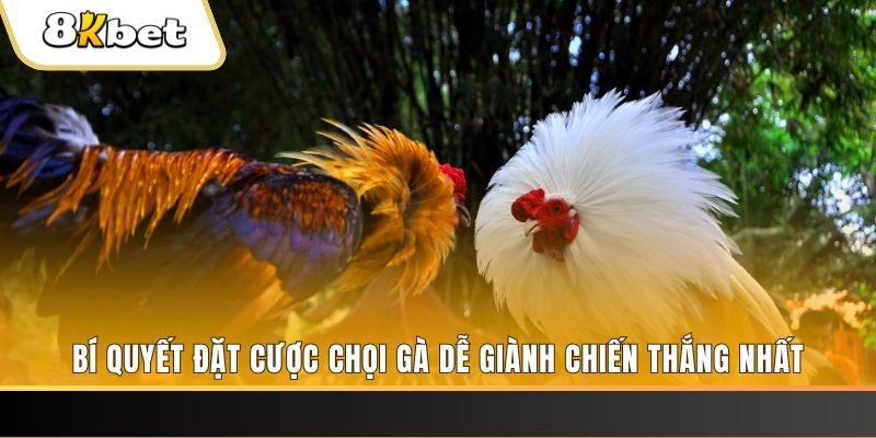 33wib xổ số thứ hai hàng tuần