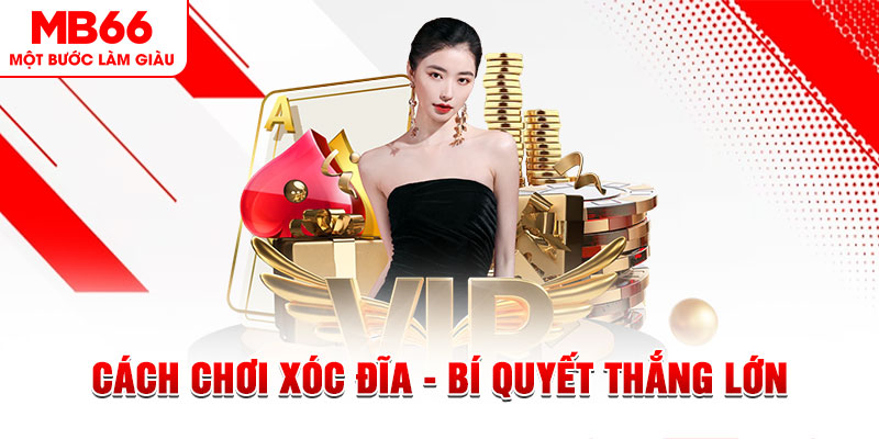 33wib trực tiếp đá gà c1 hôm nay