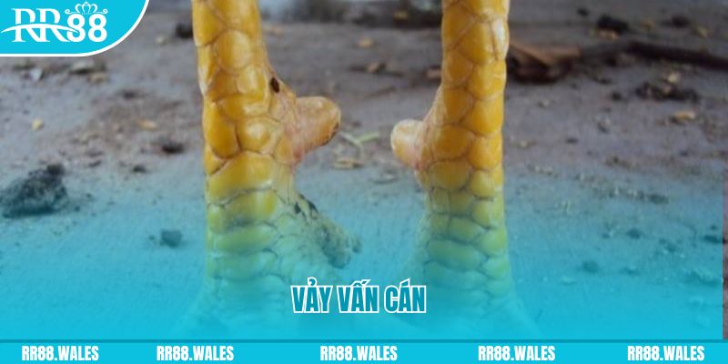 33wib đăng nhập nổ hũ hôm nay